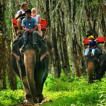 Lanta Pavilion Resort - Ko Lanta Dış mekan fotoğraf